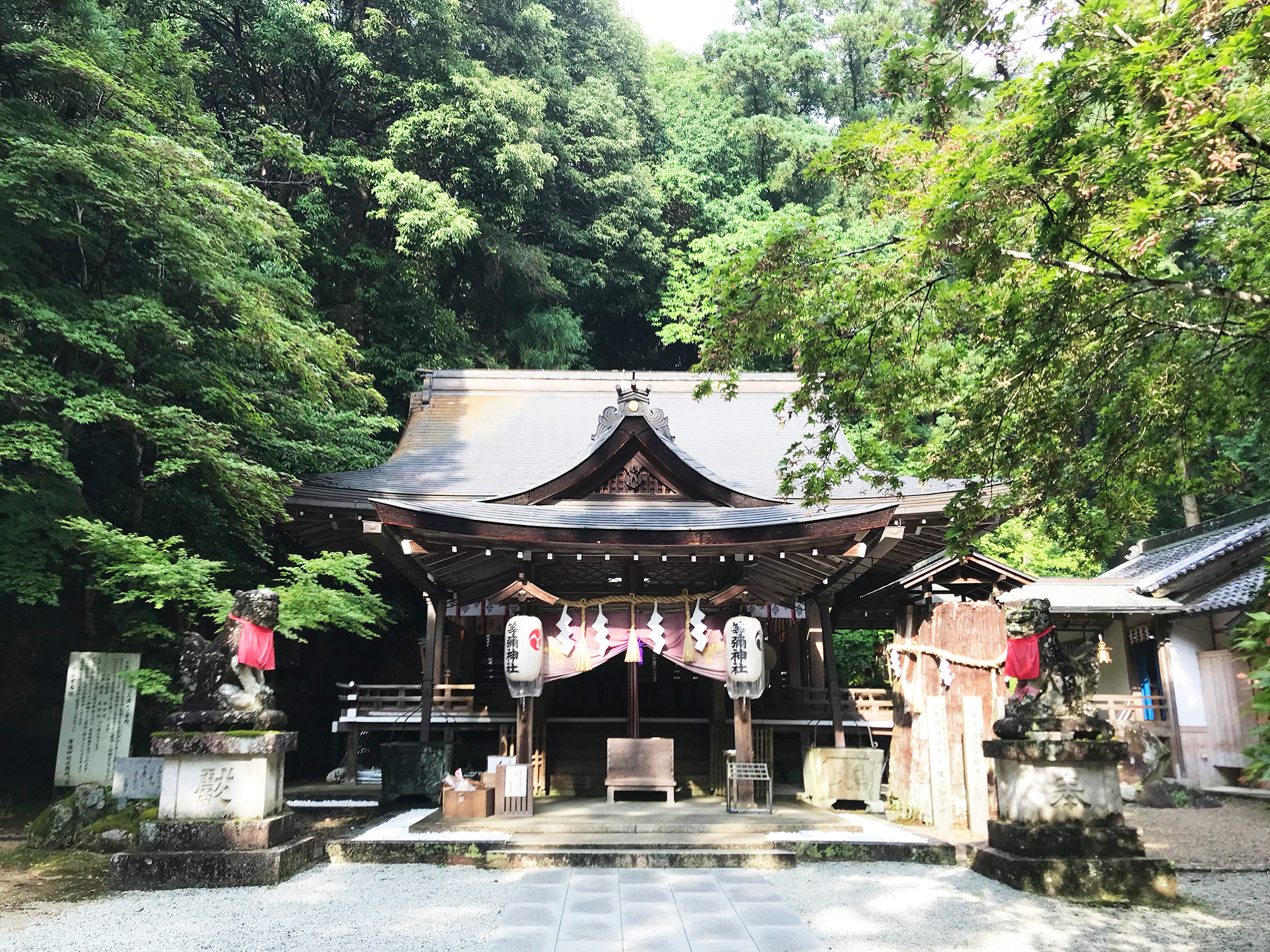 夏の神社で瞑想会が終わりました(2020/06/26)