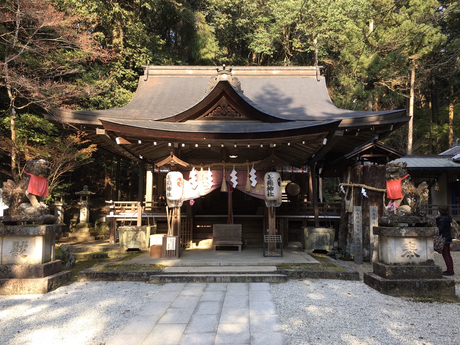 瞑想において忘れてはいけないこと(春の神社で瞑想会2020/04/04)